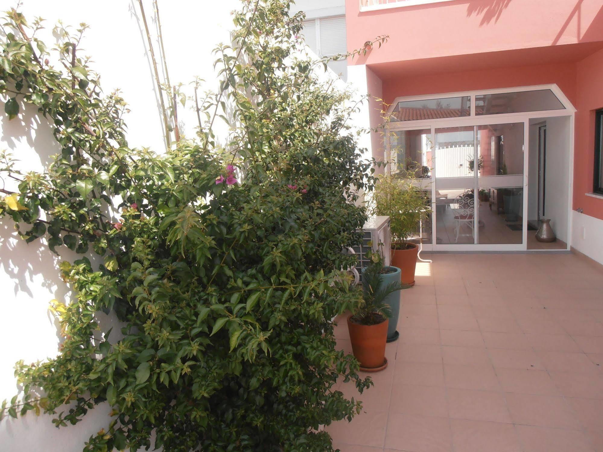 Casa Morgados - Grandola Guesthouse Экстерьер фото